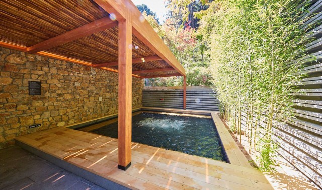 自开业以来仅提供单道菜菜单赢得了美食家的心