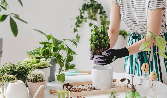 轻松生活小贴士